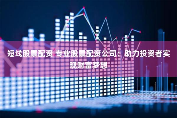 短线股票配资 专业股票配资公司：助力投资者实现财富梦想